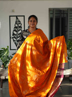 Dupion Silk Sarees Noble Grace / SKU241 – 12
