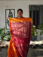 Dupion Silk Sarees Noble Grace / SKU241 – 12
