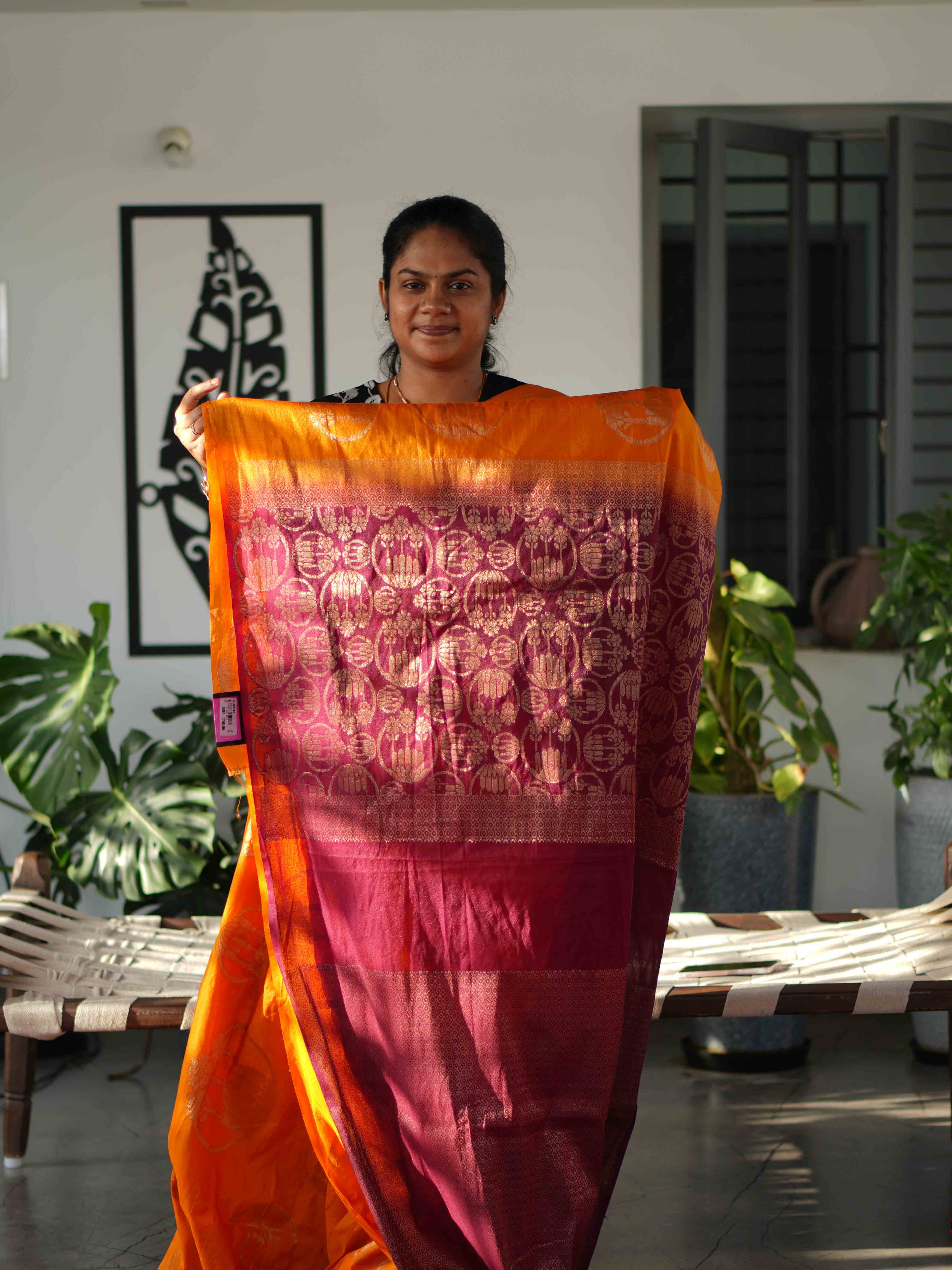 Dupion Silk Sarees Noble Grace / SKU241 – 12