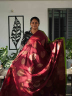 Dupion Silk Sarees Elegant Radiance / SKU241 – 14