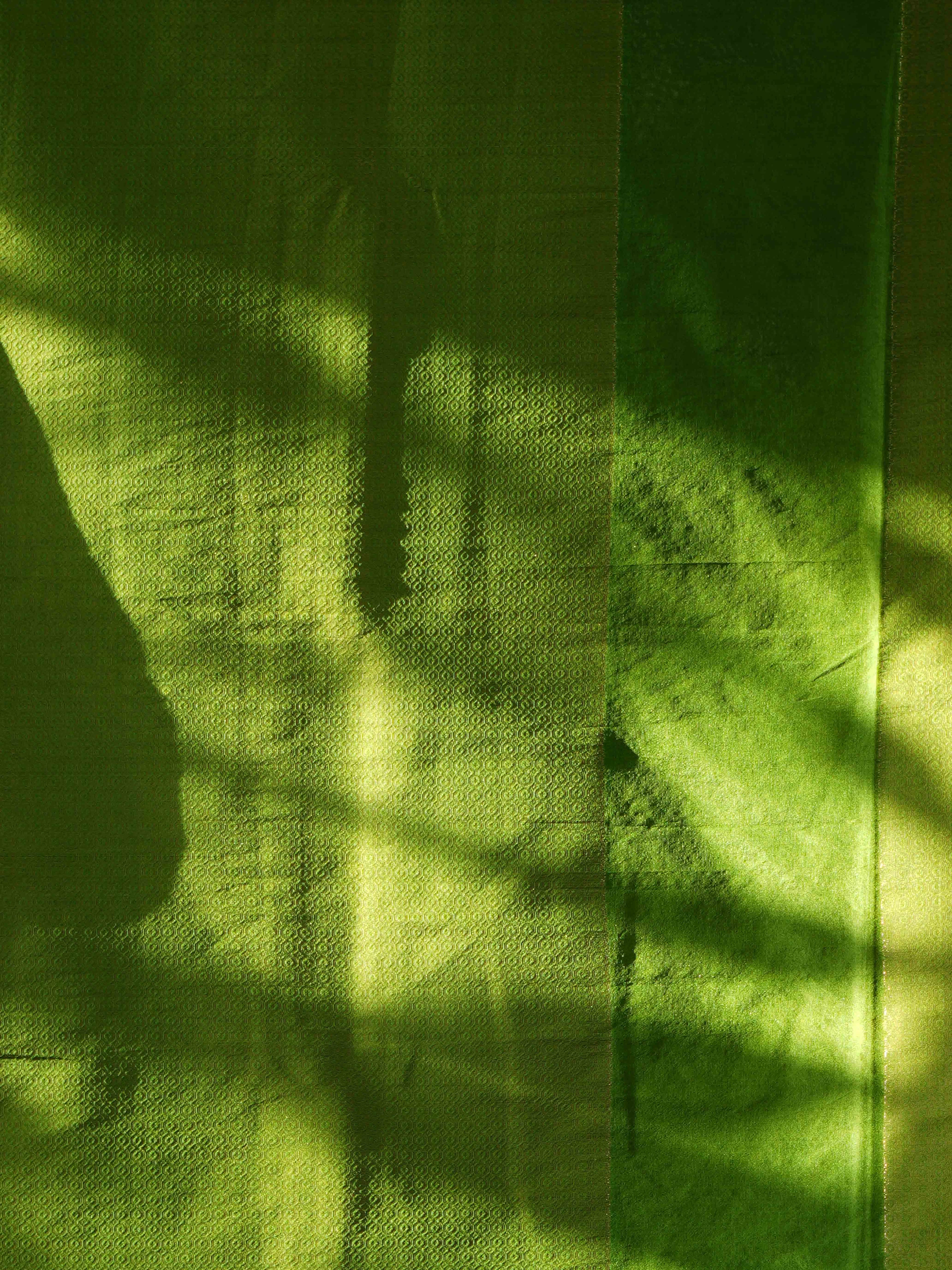 Dupion Silk Sarees Elegant Radiance / SKU241 – 14