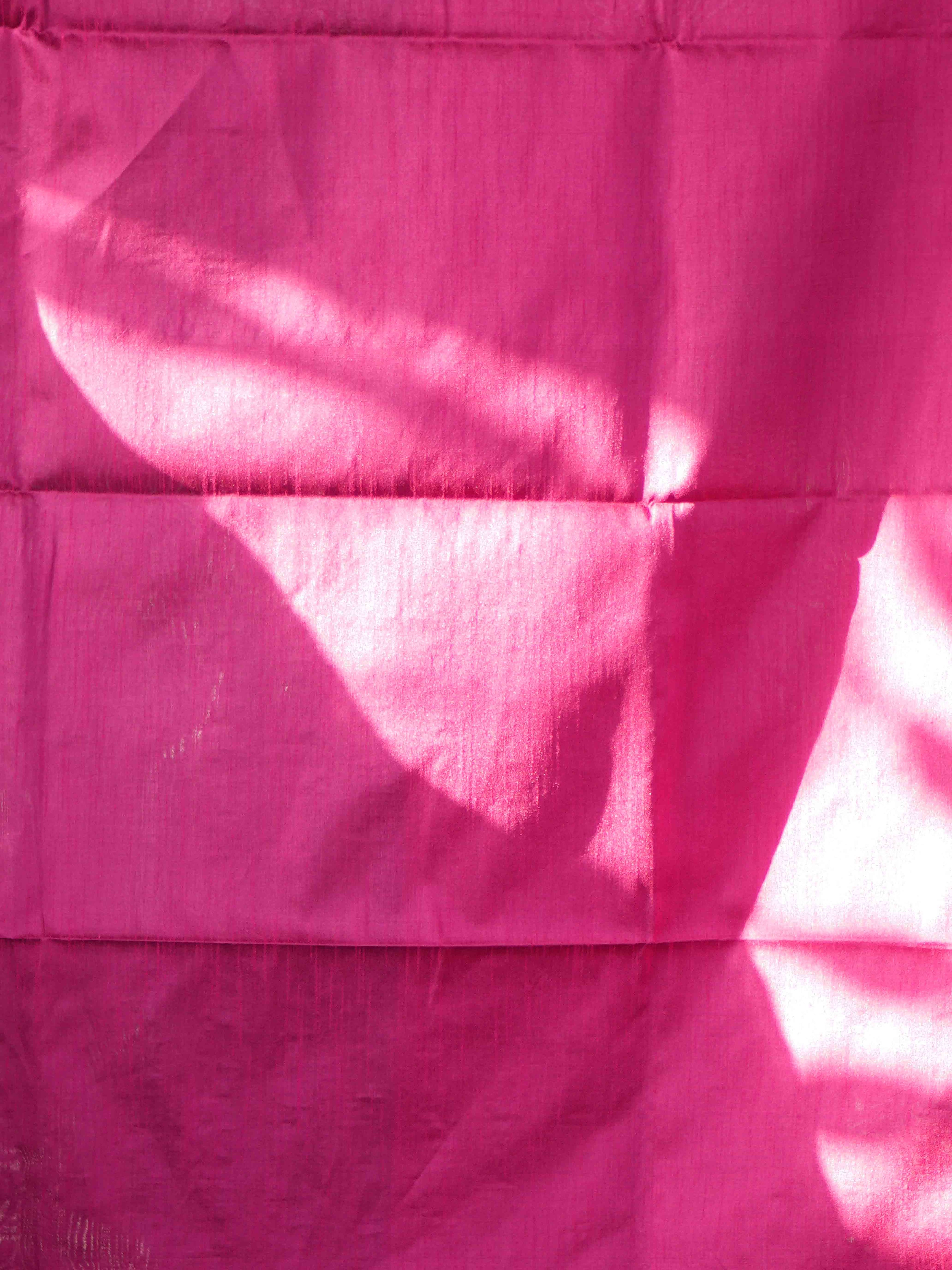 Raw Silk Sarees Royal Elegance / SKU239 – 4