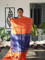 Raw Silk Sarees Timeless Prestige / SKU239 – 3