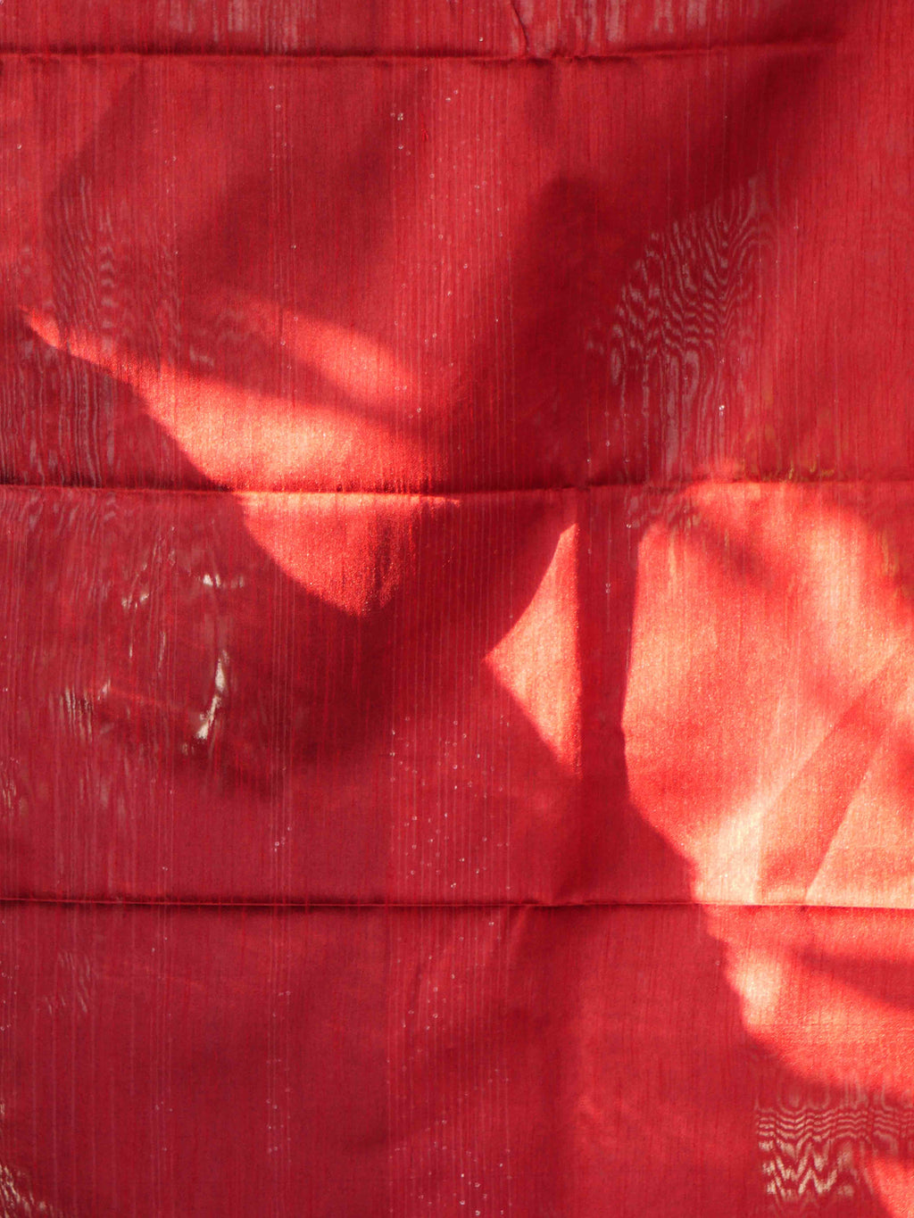 Raw Silk Sarees Noble Splendor / SKU239 – 9