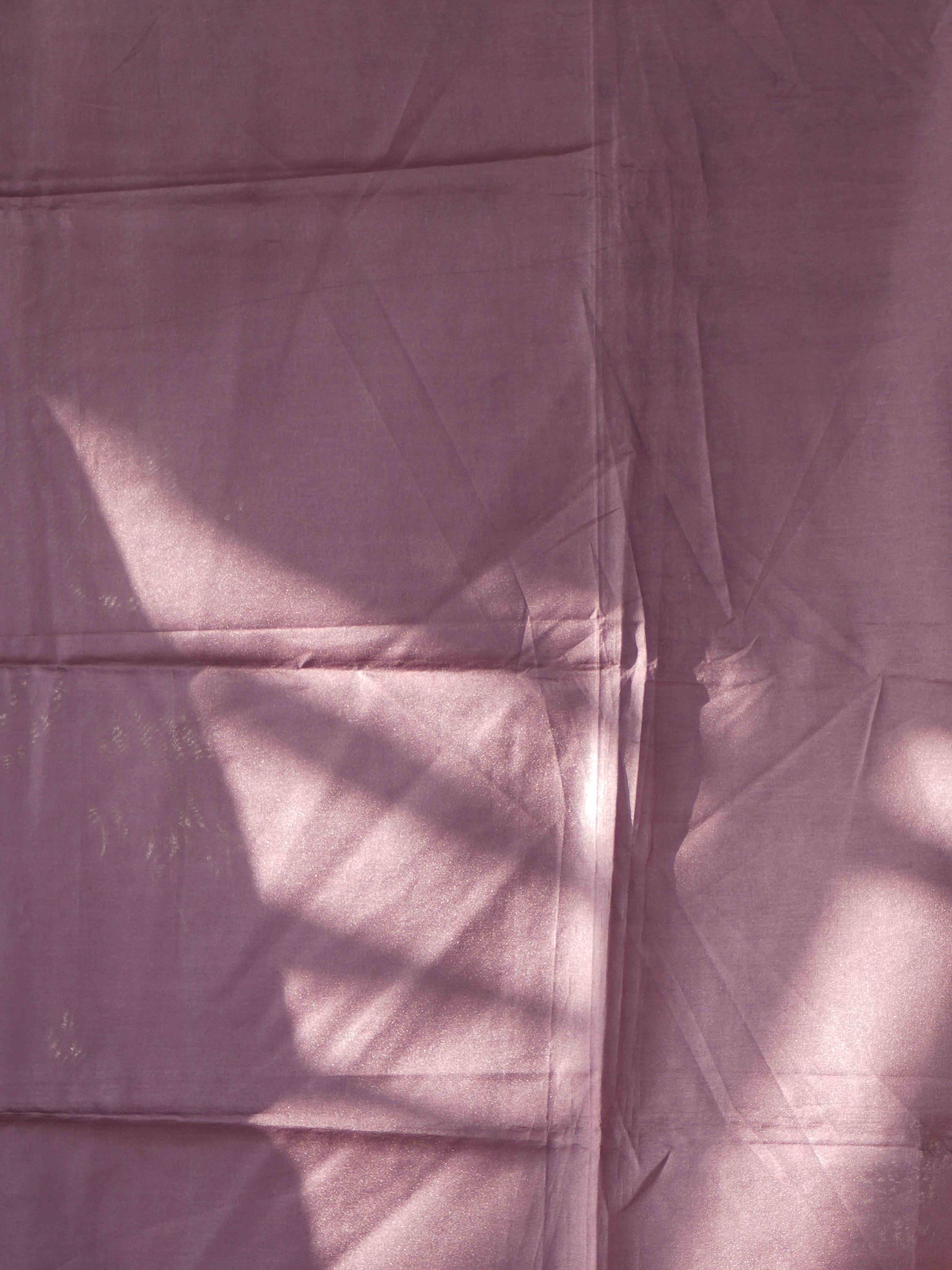Muga Tussar Sarees Timeless Splendor / SKU239 – 14