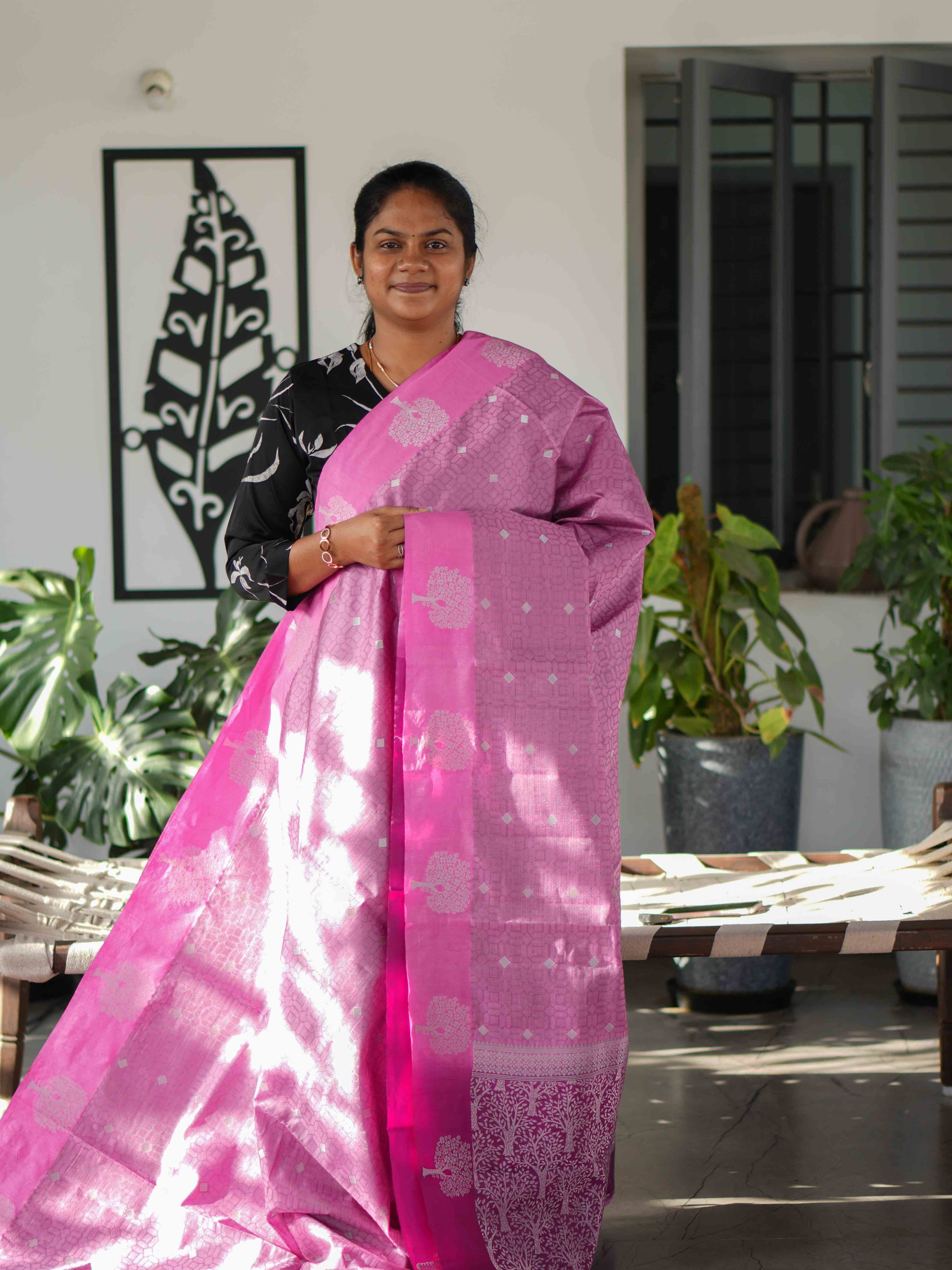 Fancy Sarees Classic Grace / SKU244 – 15