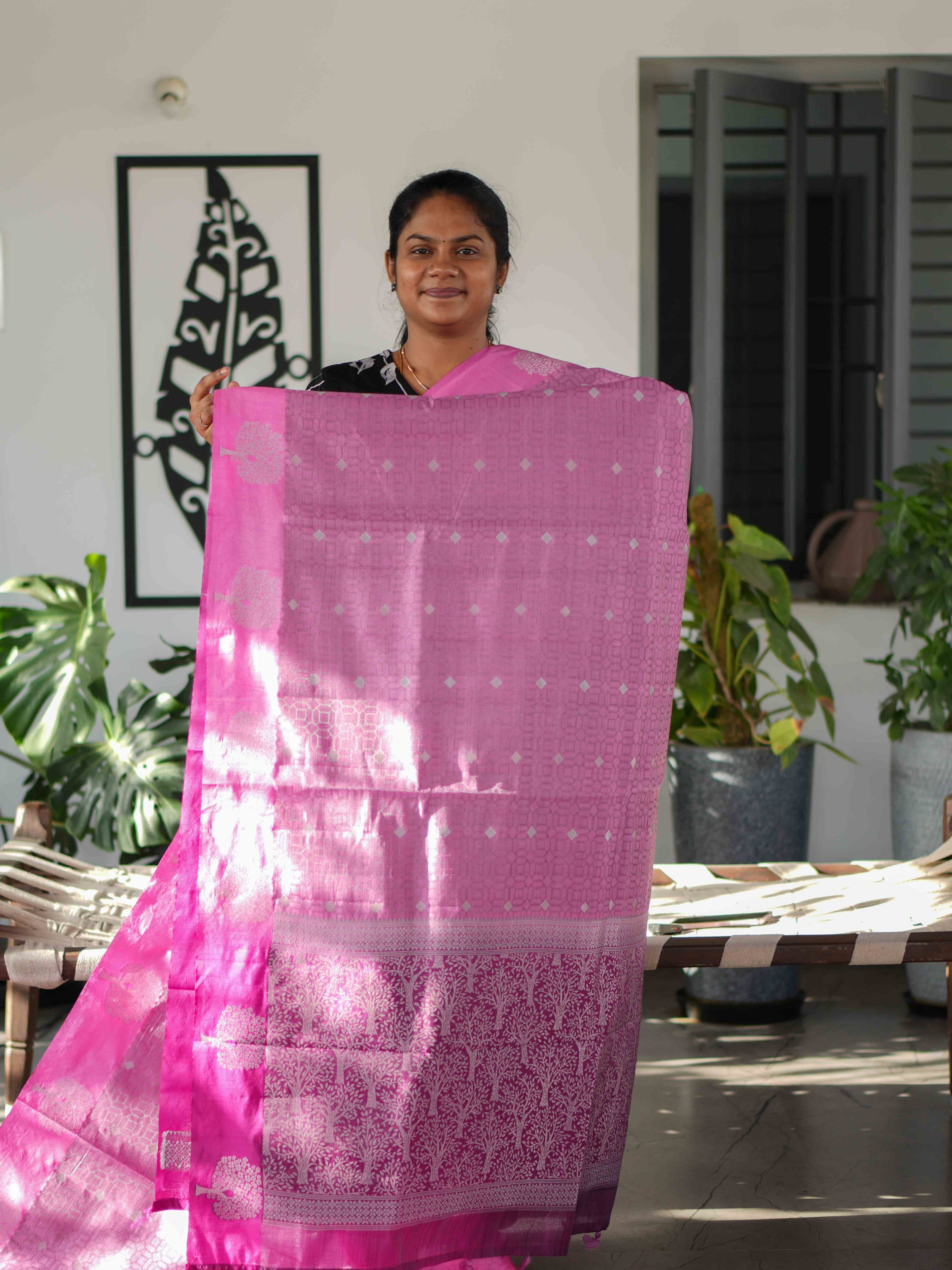 Fancy Sarees Classic Grace / SKU244 – 15