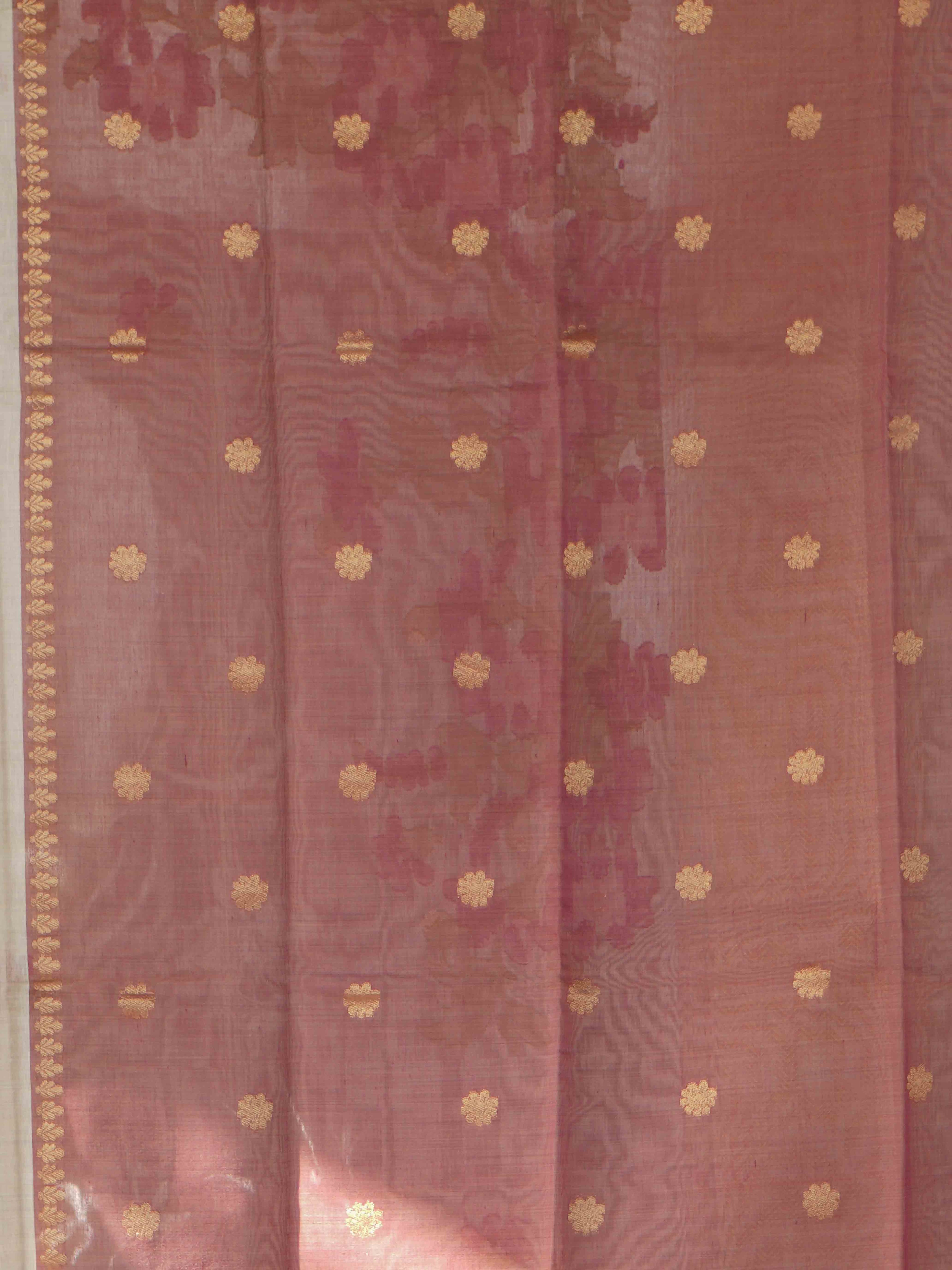 Bamboo Cotton Sarees Natural Elegance / SKU244 – 9