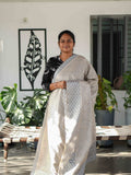 Semi Tussar Sarees Heritage Grace / SKU244 – 3