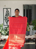 Cotton Banaras Sarees Royal Elegance / SKU244 – 2