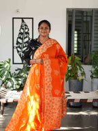 Paithani Sarees Regal Splendor / SKU246 – 7