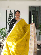 Fancy Sarees Timeless Radiance / SKU246 – 5