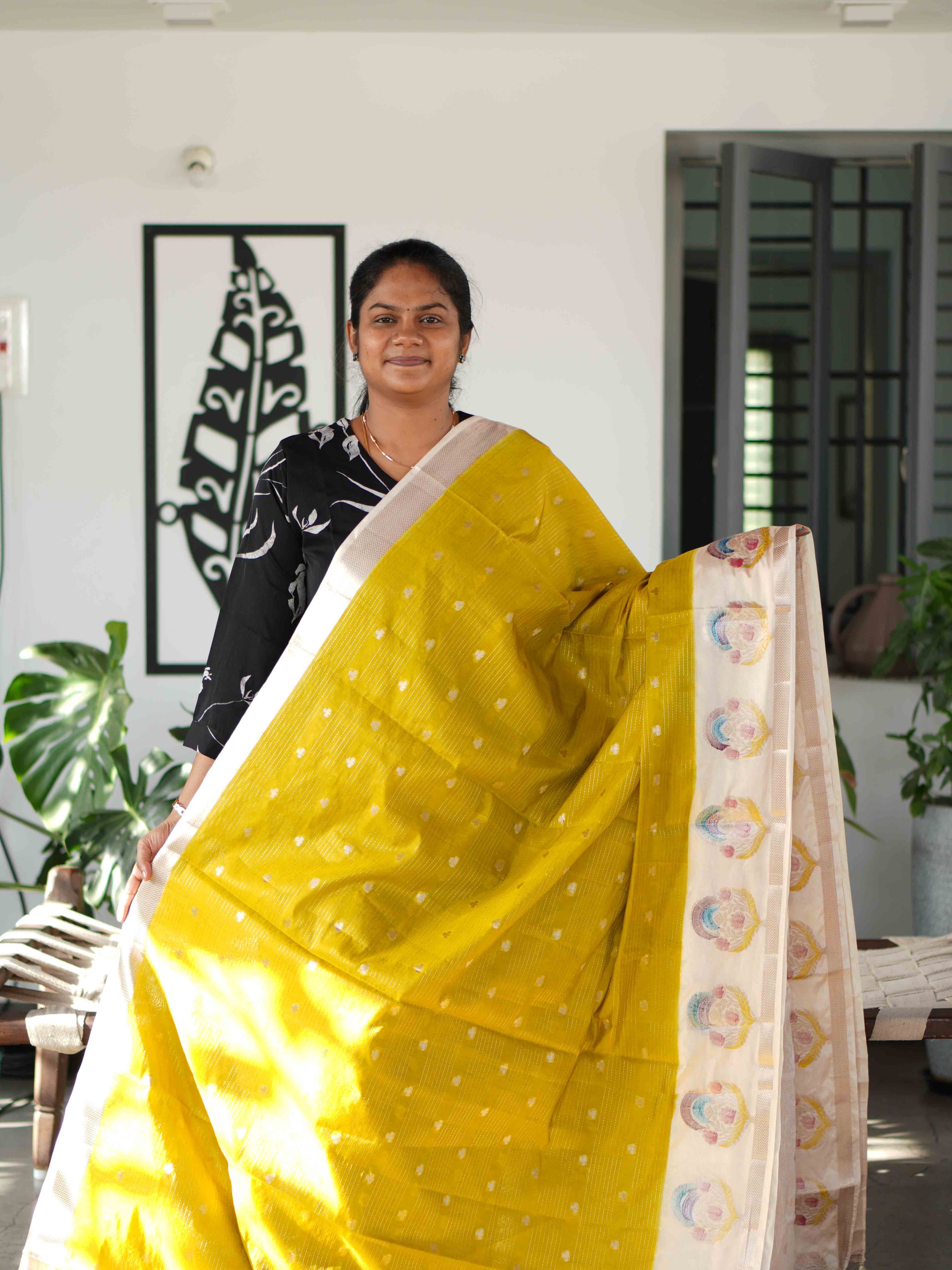 Fancy Sarees Timeless Radiance / SKU246 – 5