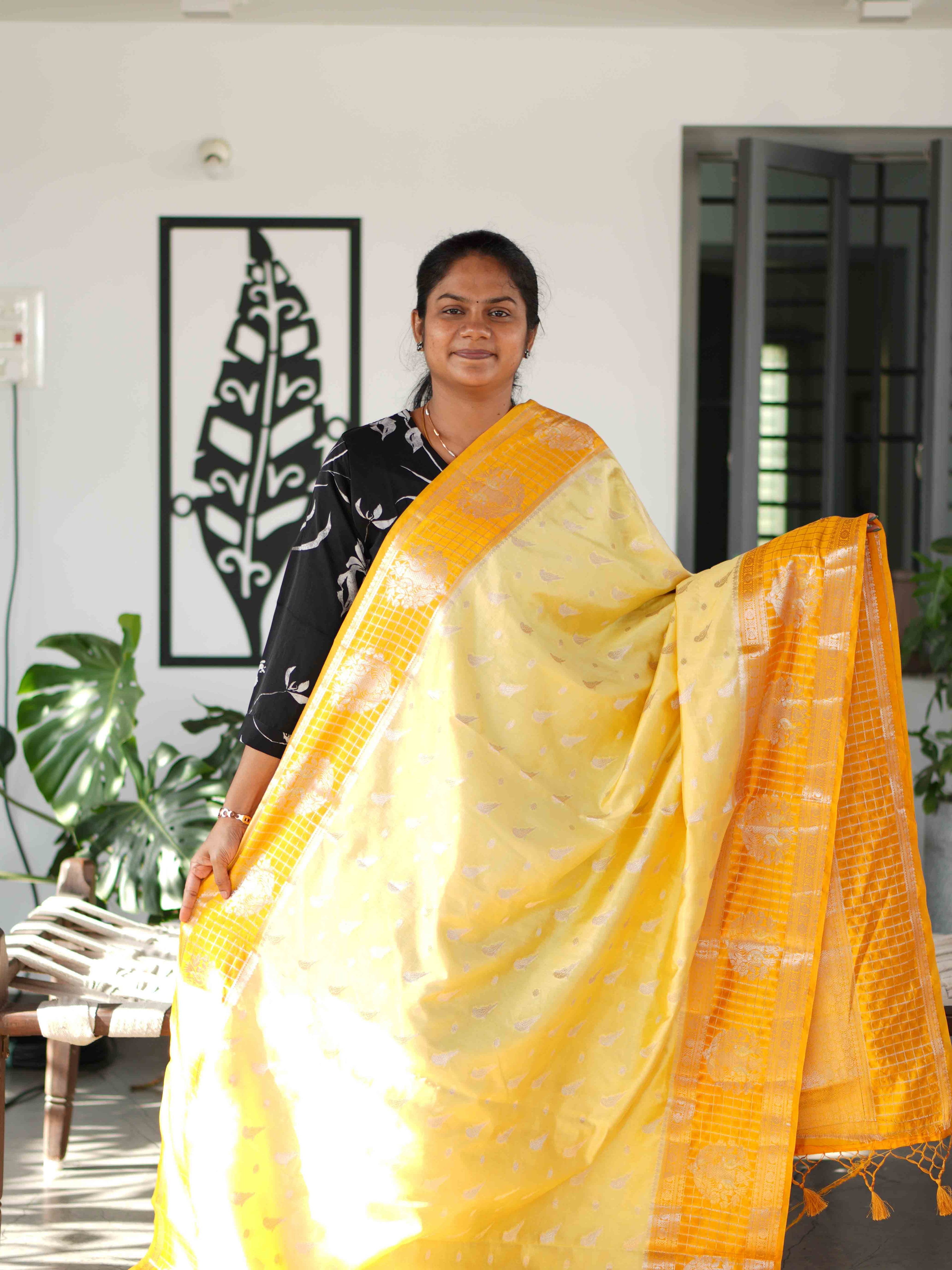 Fancy Sarees Classic Prestige / SKU246 – 3