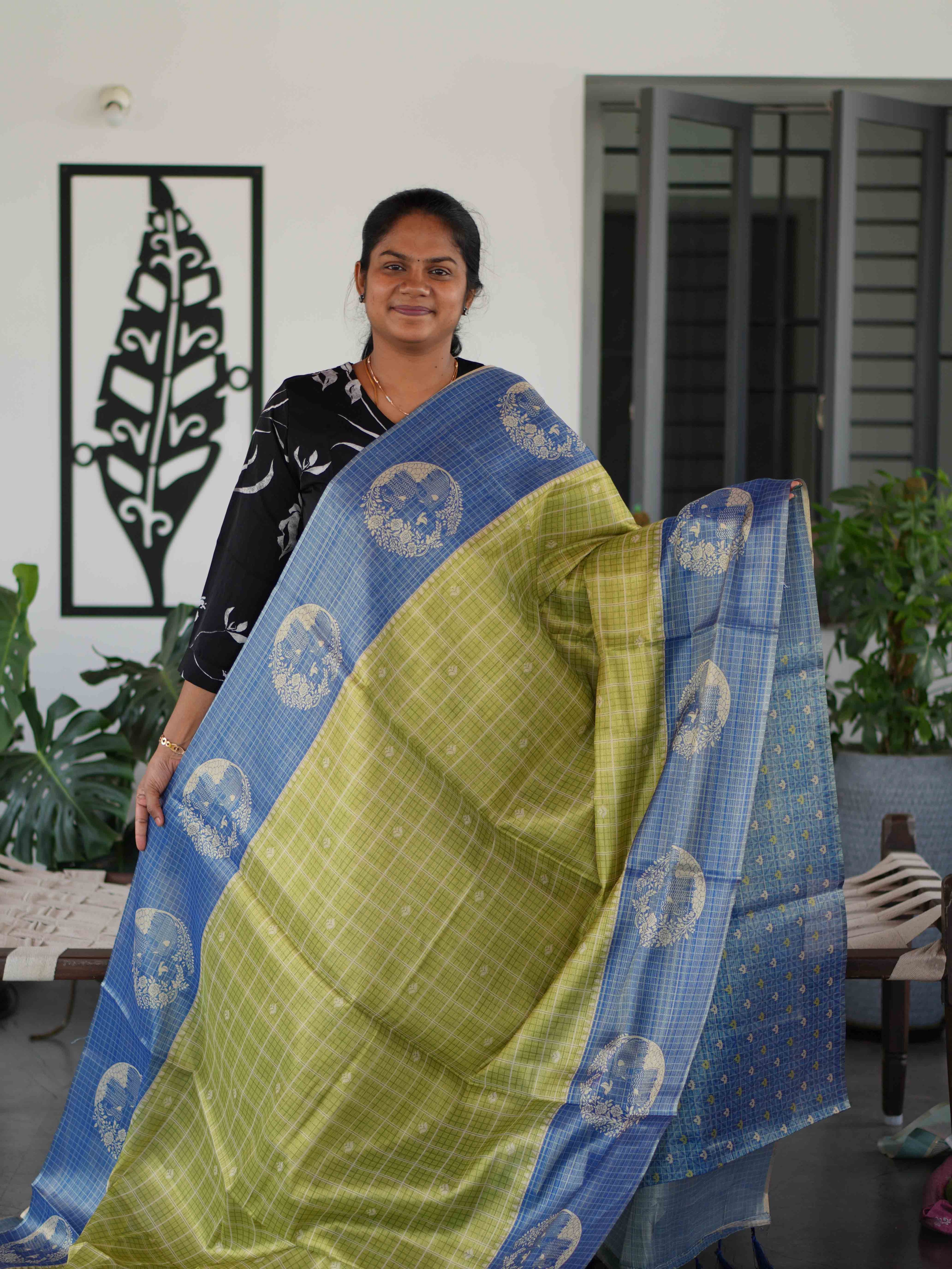 Linen Tissue Sarees Classic Radiance / SKU255 – 2