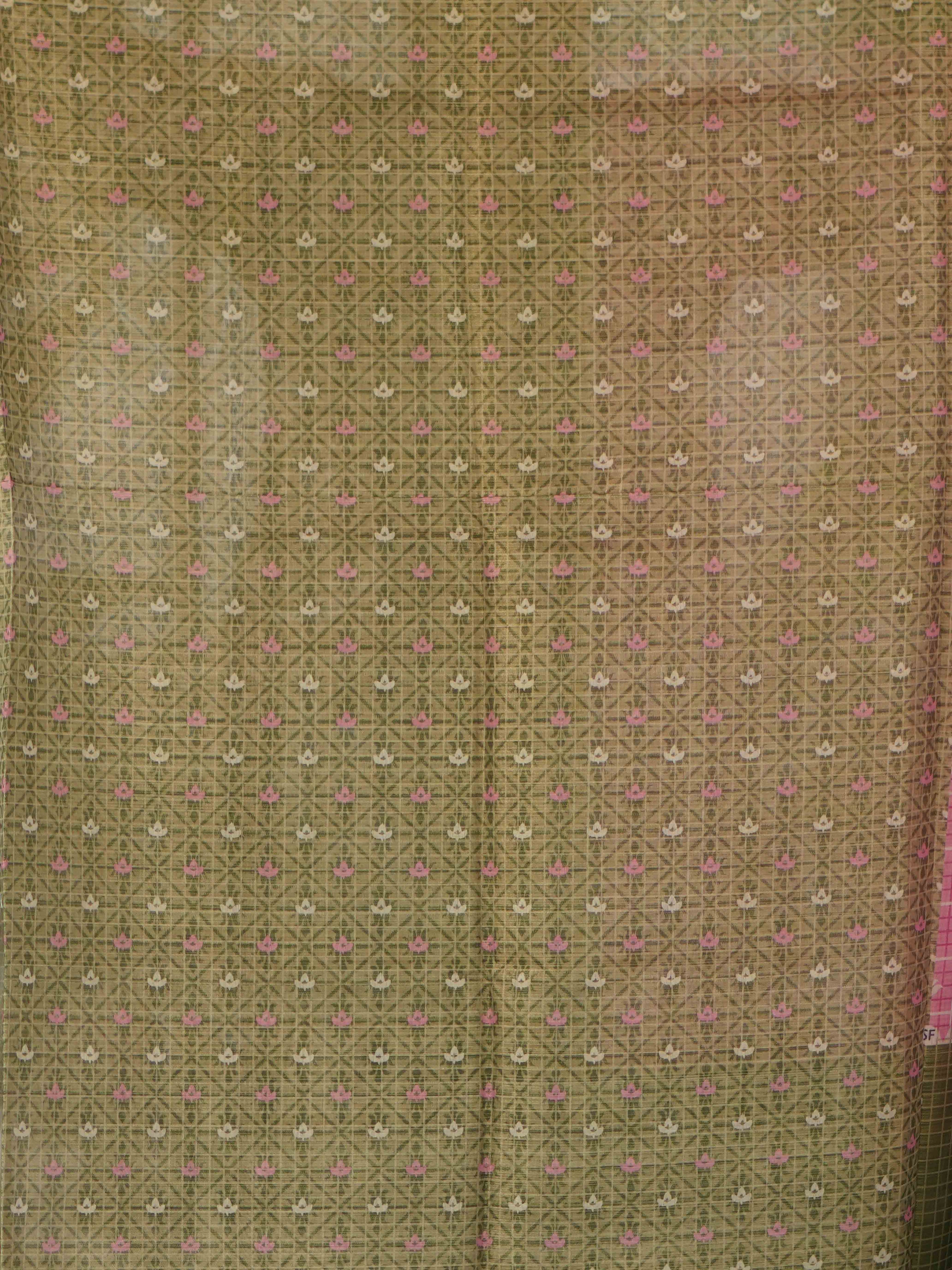 Linen Tissue Sarees Natural Grace / SKU255 – 6