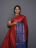Raw Silk Sarees Timeless Radiance / SKU316 – 6
