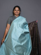 Raw Silk Sarees Signature Weave / SKU316 – 8