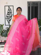 Linen Cotton Sarees Soft Comfort / SKU262 – 1
