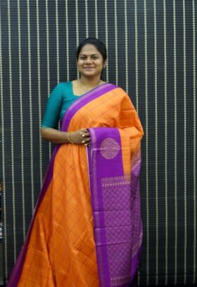 Art Printed Tussar Saree