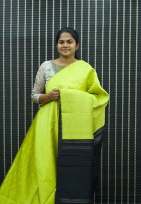 Raw Silk Saree