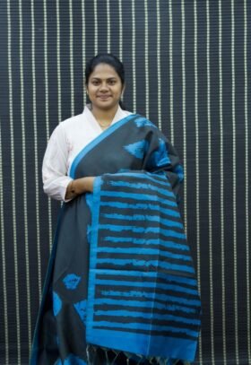 Tissue Chappa Sarees