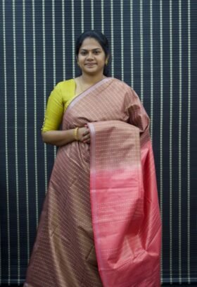 Tissue Staple Tussar Saree