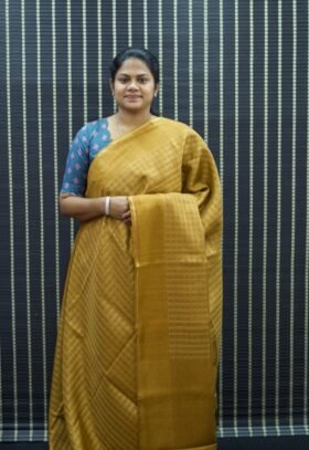 Raw Mango Silk Sarees / SKU085