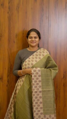 Bamboo Cotton Sarees for Office Wear / SKU099 - 3