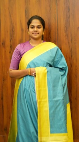 Semi Tussar Sarees Neat Pattern / SKU134 – 6
