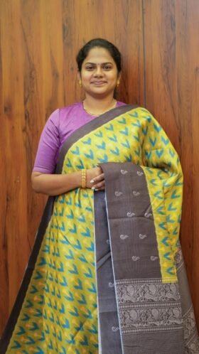 Ikkat Chappa Sarees Work Fit / SKU132 – 3