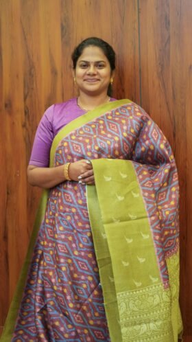 Ikkat Chappa Sarees Clean Finish / SKU132 – 4