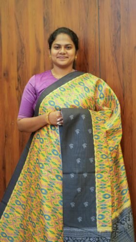 Ikkat Chappa Sarees Neat Pattern / SKU132 – 8