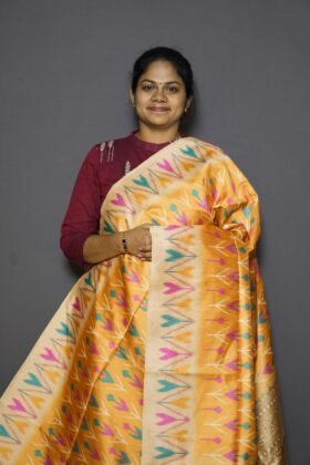 Bukhara Ikkat Pattern Sarees Neat Look / SKU156 – 6