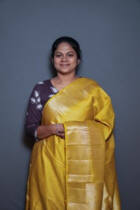 Cotton Banarus Sarees Festive Style / SKU160 – 2
