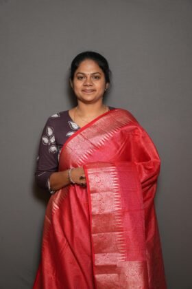 Cotton Banarus Sarees Classic Pattern / SKU160 – 3